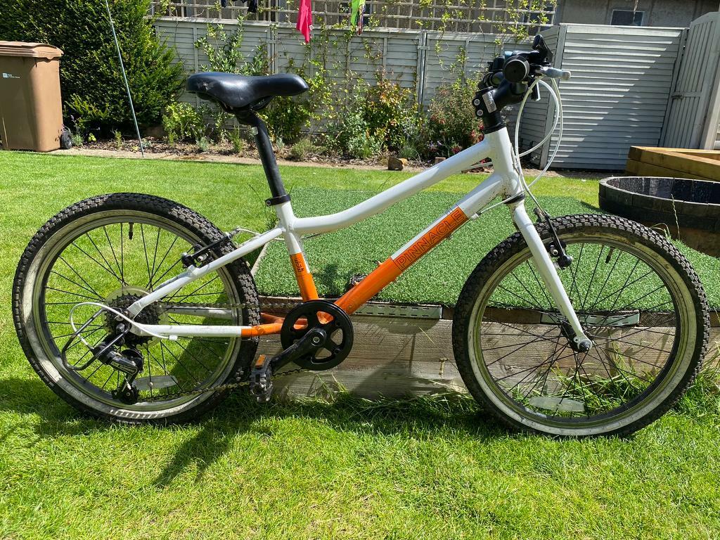 pinnacle ash bike
